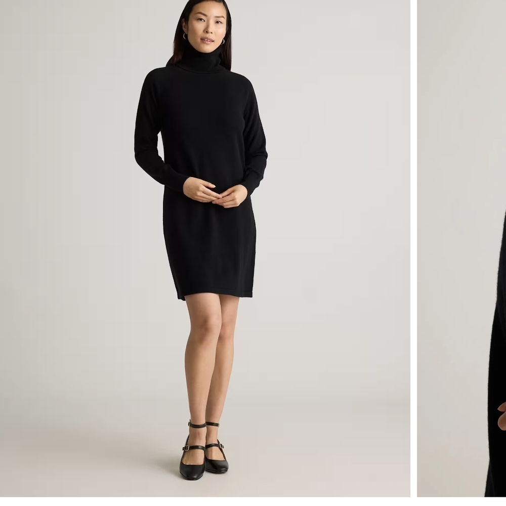 Quince Mongolian Cashmere Turtleneck Sweater Dress
